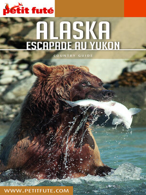 cover image of Alaska 2019/2020 Petit Futé